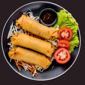 Nem fait maison SOA NEM - Incontournable street food asiatique